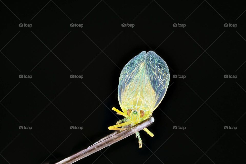 amazing 'image 'photography 'originalcontent