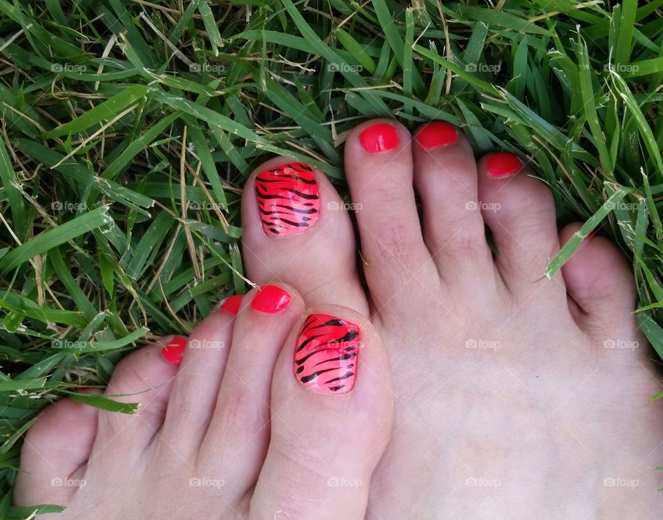 Ombré Tiger striped toes in the grass