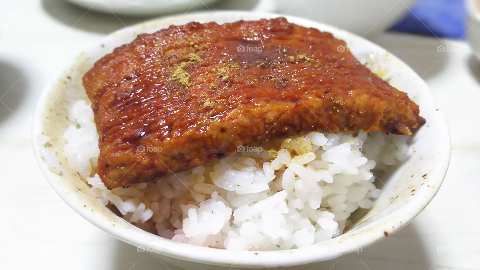 unagi eel rice