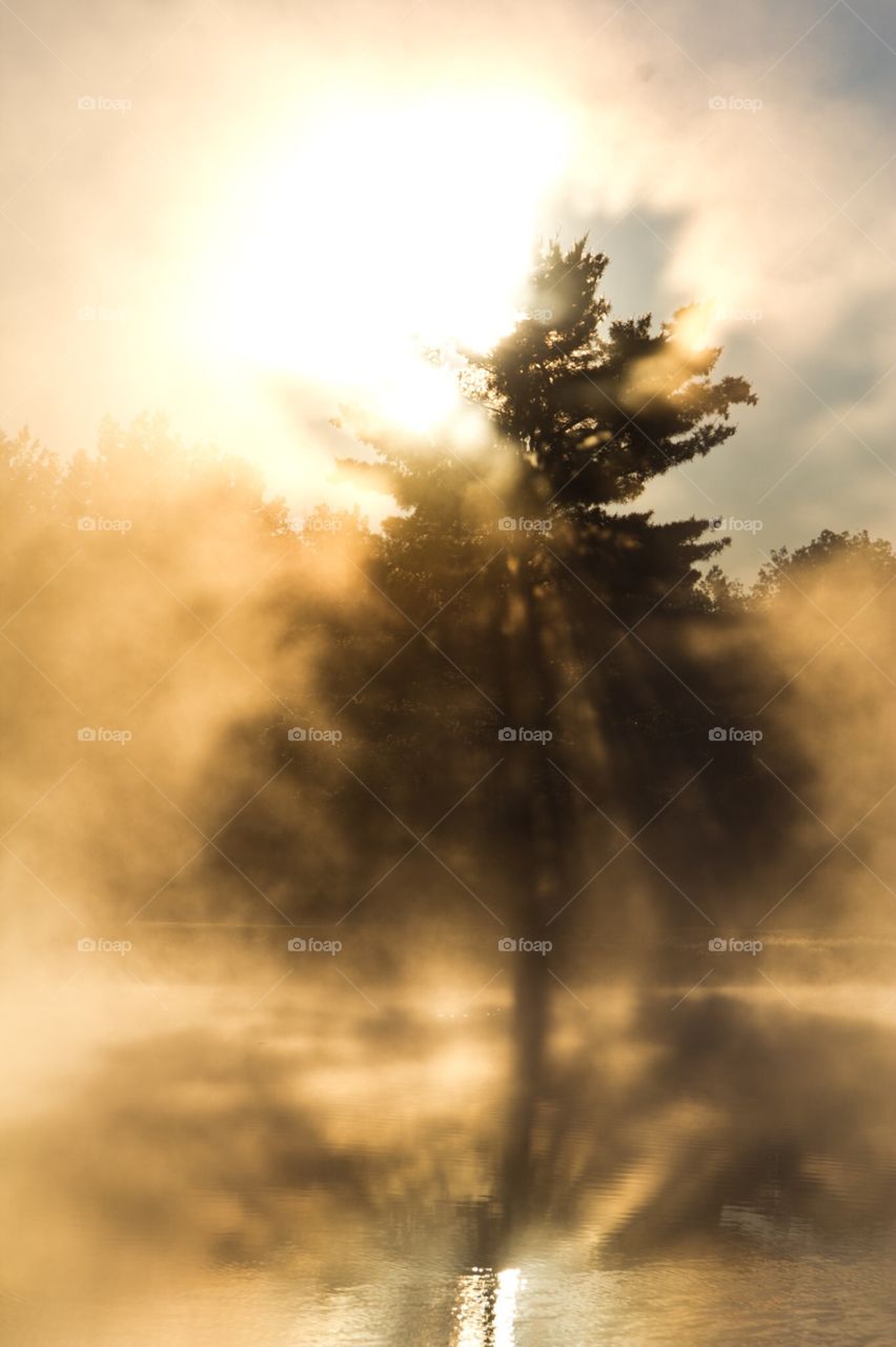 Misty morning. TWL, Michigan 