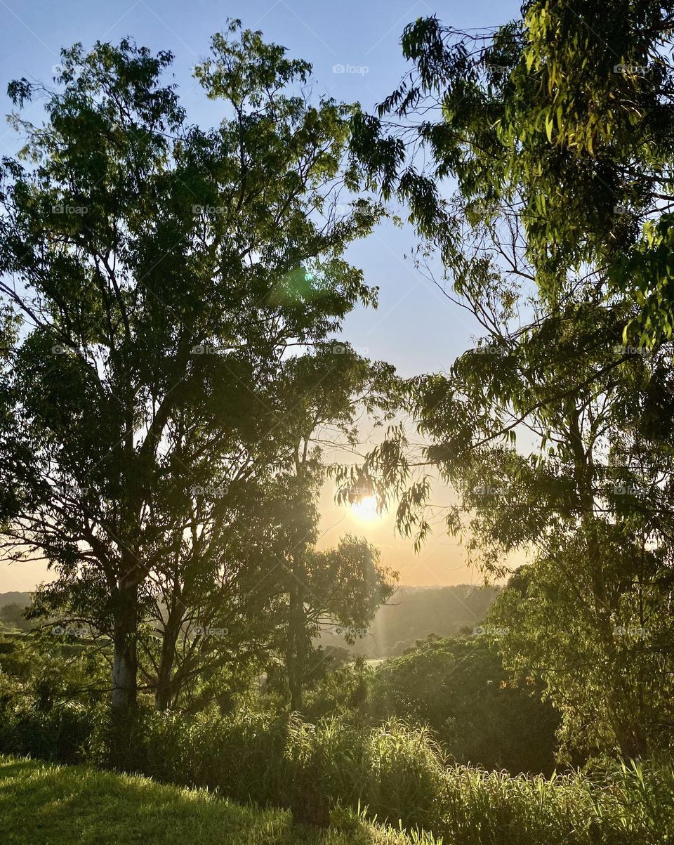 🌄🇺🇸 An extremely beautiful sunset in Louveira, interior of Brazil. Cheer the nature! / 🇧🇷 Um entardecer extremamente bonito em Louveira, interior do Brasil. Viva a natureza! 