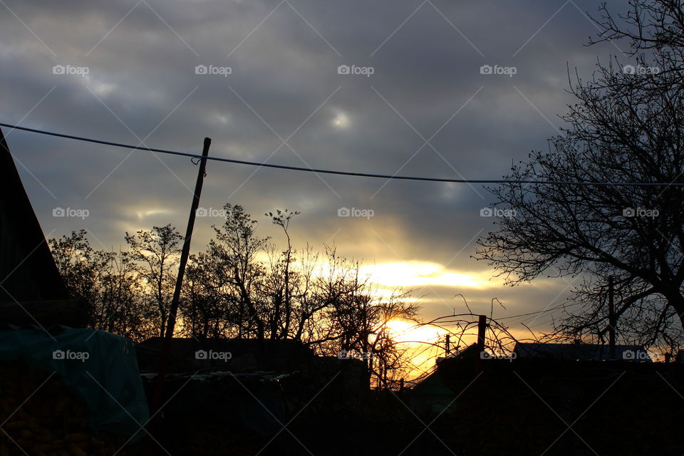 Beautiful sunset over the village countryside and trees