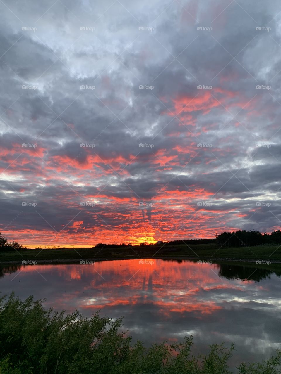 Red sunset 