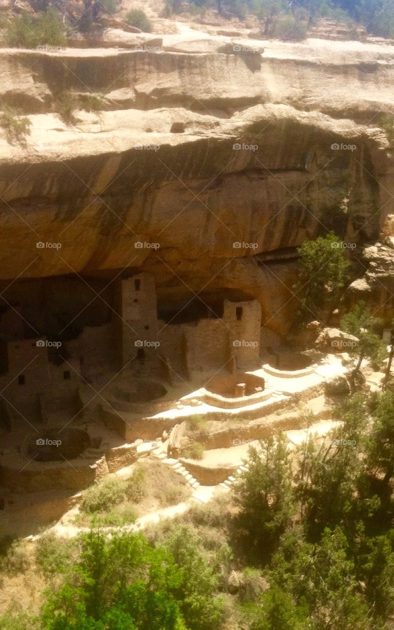 Cliff Dwelling