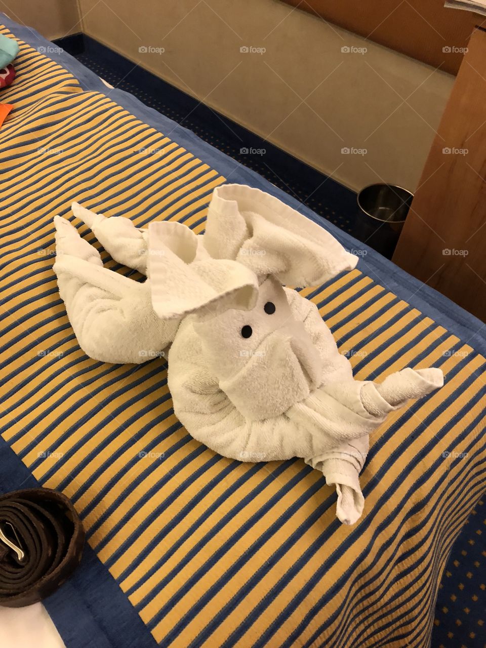 Carnival Sunshine Cruise towel animal made by our room Stuart