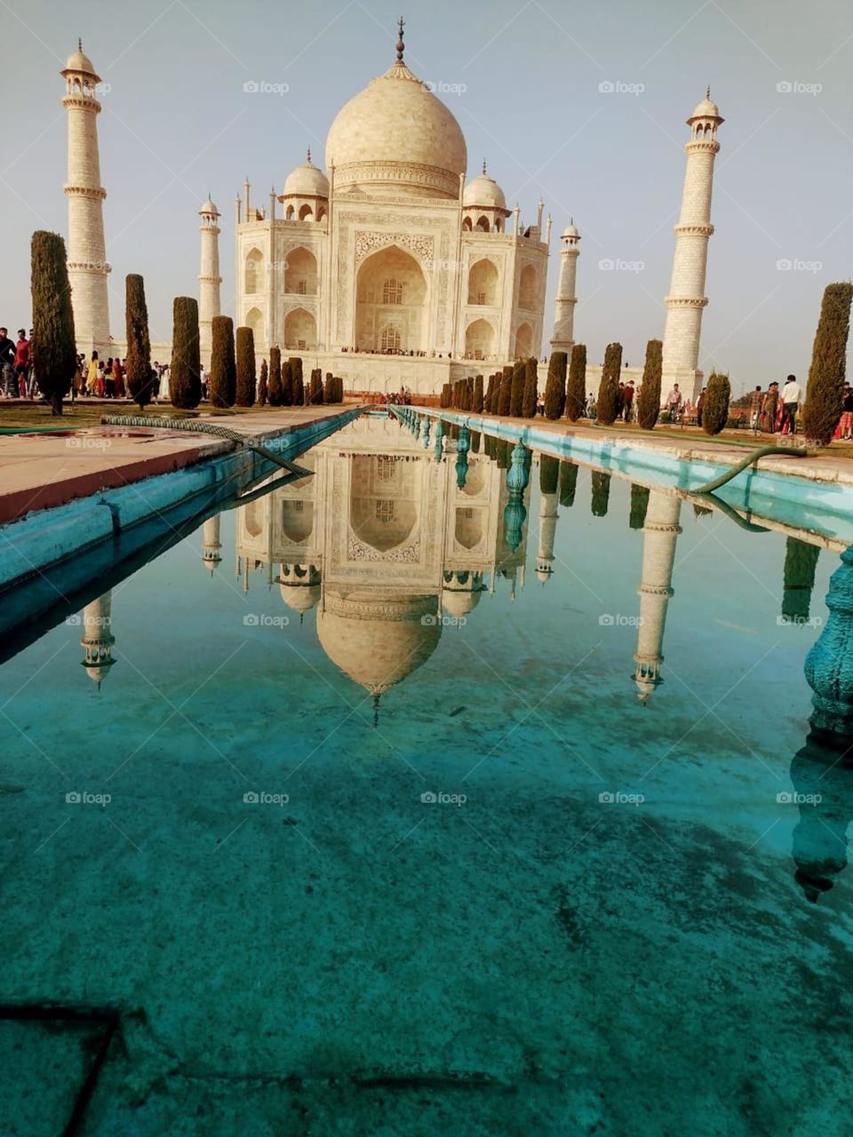 Taj Mahal Mirror View on Water 💧, famous view