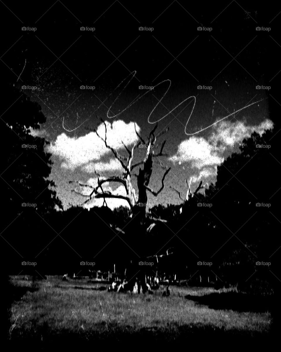 Bnw Tree