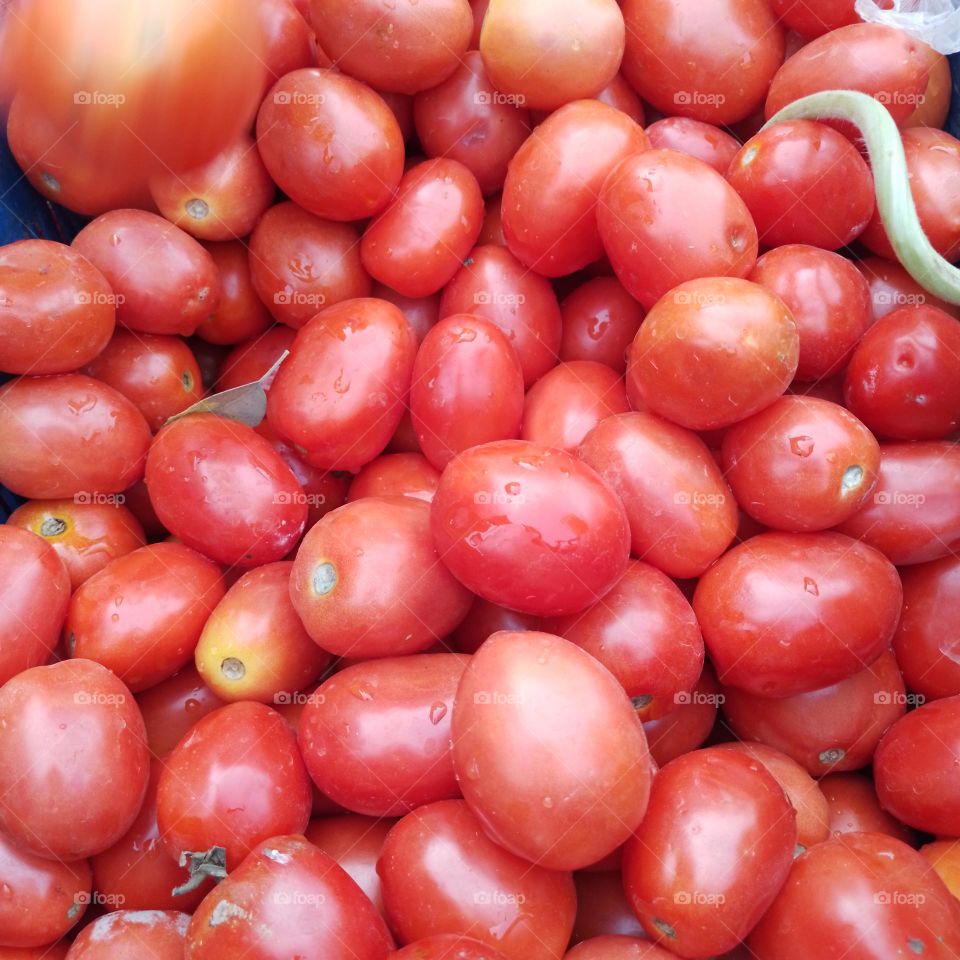tomatoes