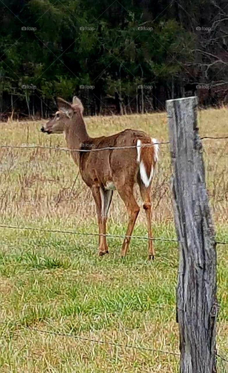Up close with nature