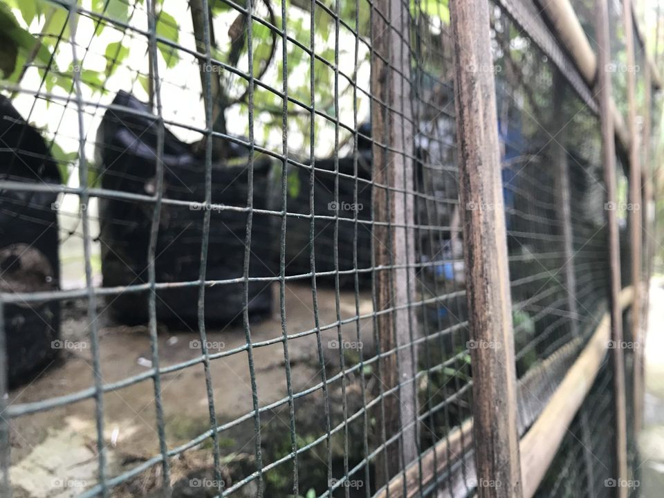 IRON WIRE FENCE ON STOCK PHOTO