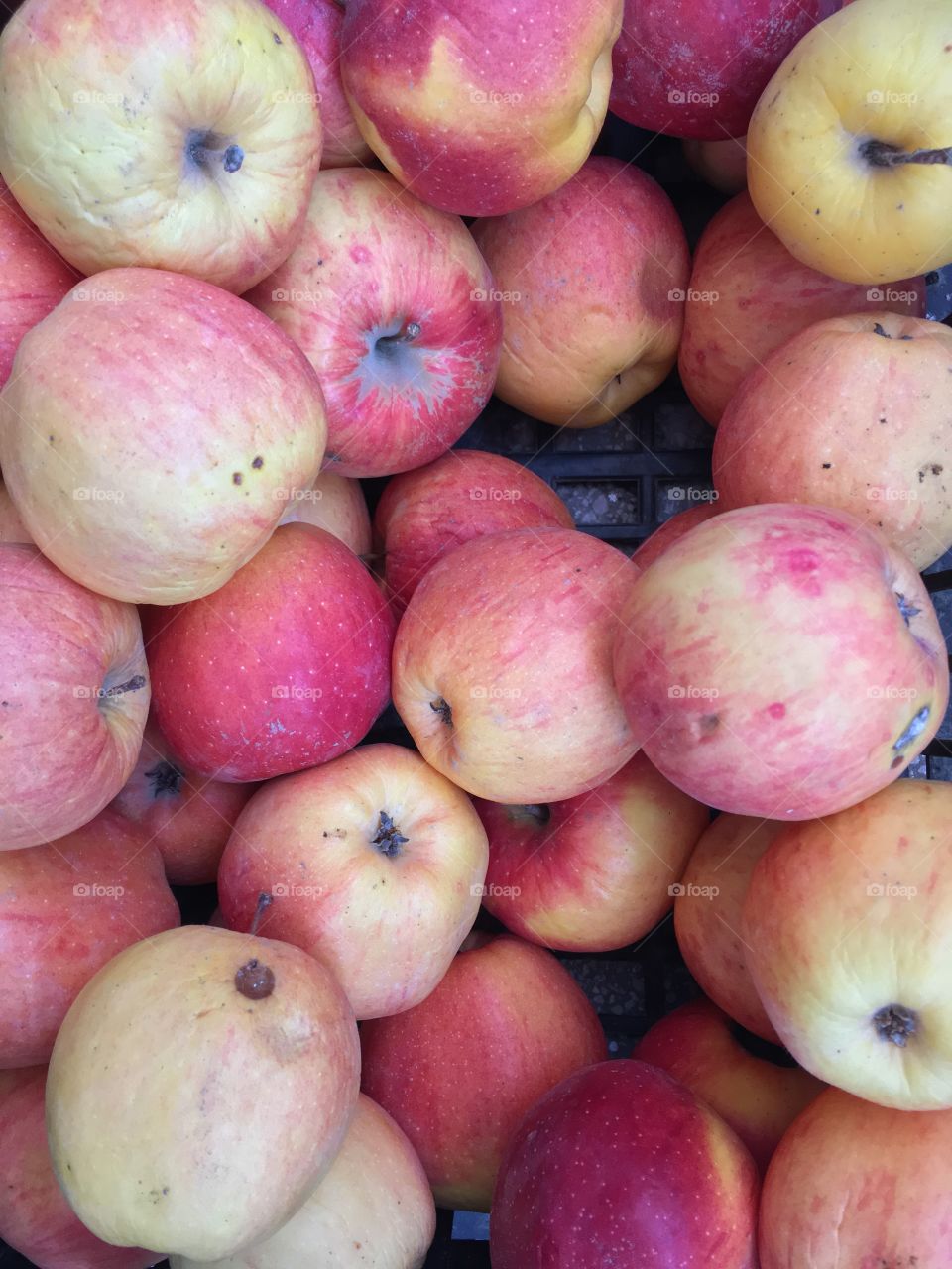 Colorful apples