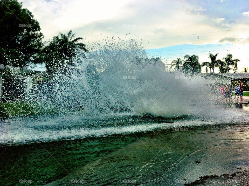 summer sunny water florida by vegatron