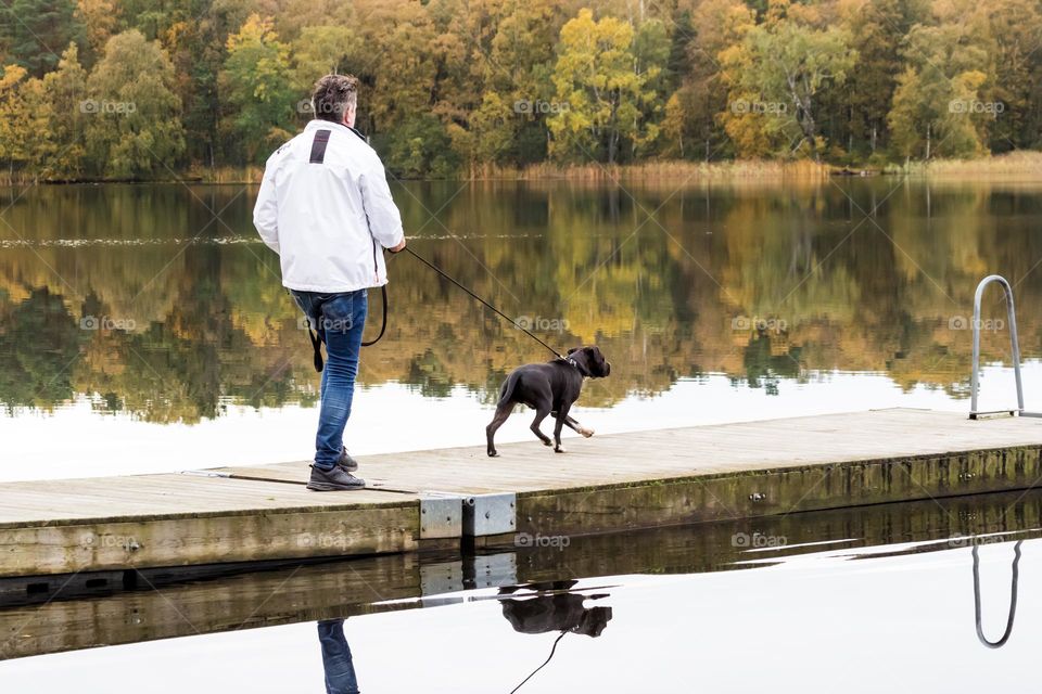 Taking the dog for a walk on a floating jetty in a calm lake surrounded by a colorful forest in autumn 