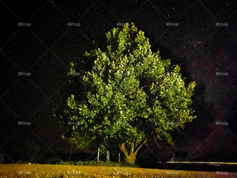 Lexington that’s the one