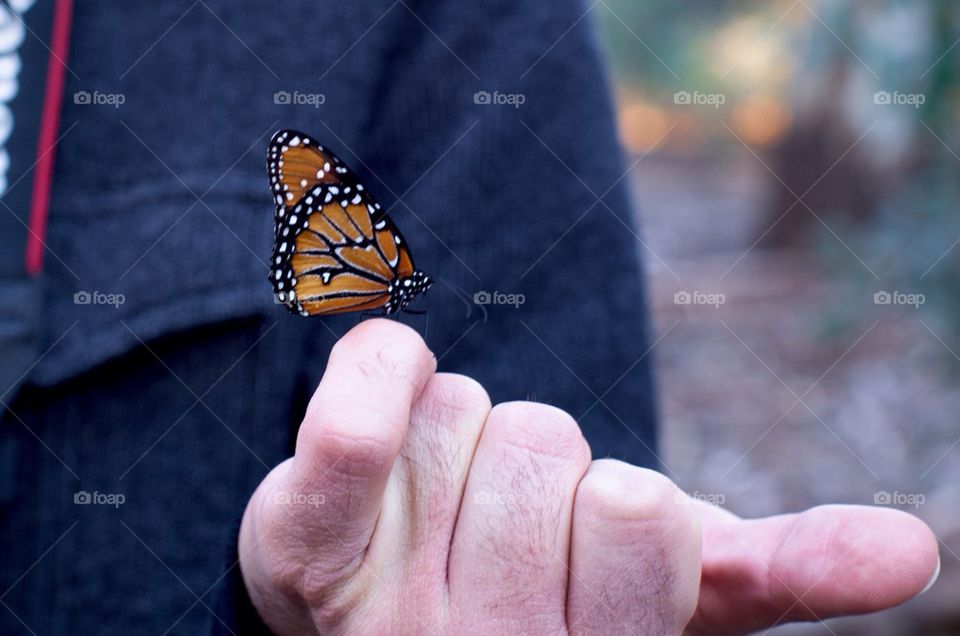 Holding a butterfly