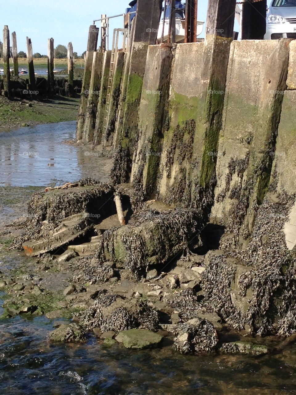 dock coast seaside seaweed by riverracer