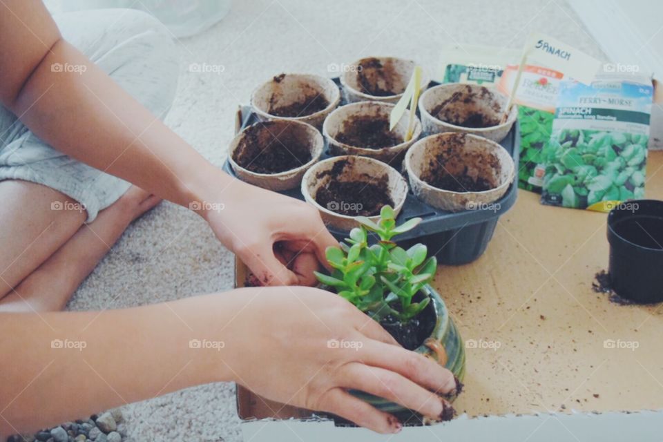 planting 