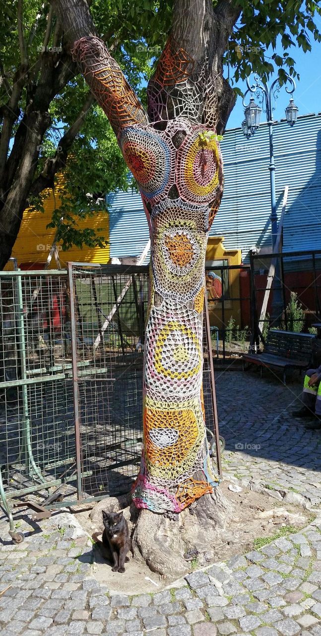 Buenos Aires yarn bomb