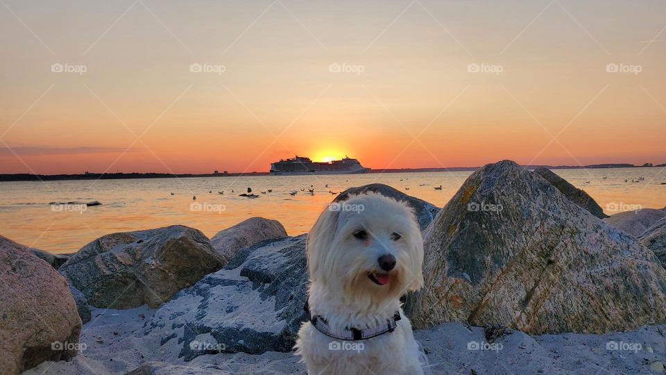 Abenteuer  am Strand