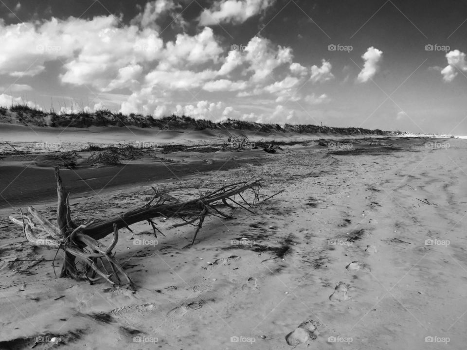 Old Florida beach