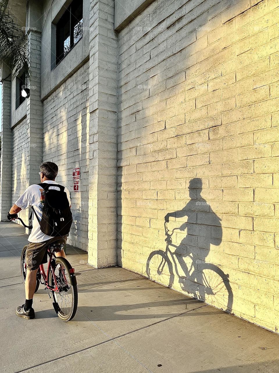 Bicycle Shadow