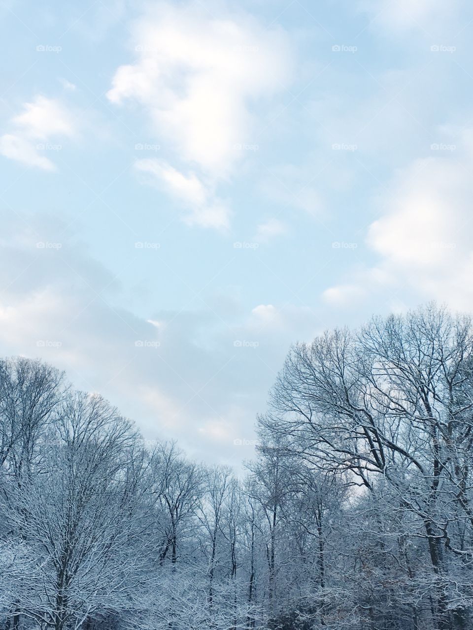 Winter, Snow, Frost, Cold, Landscape
