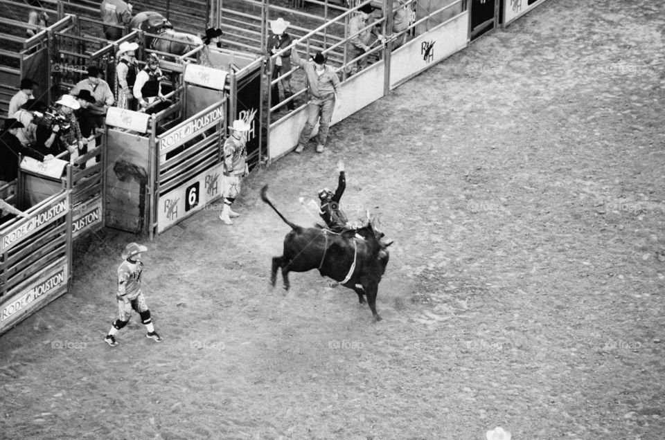Bull riding 