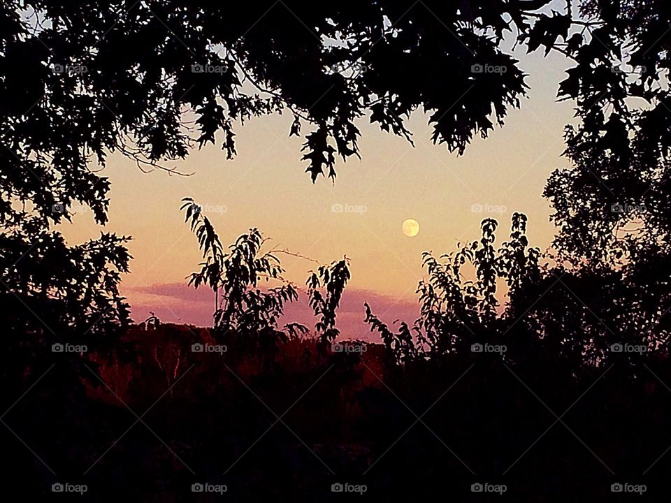 Moon At Sunset