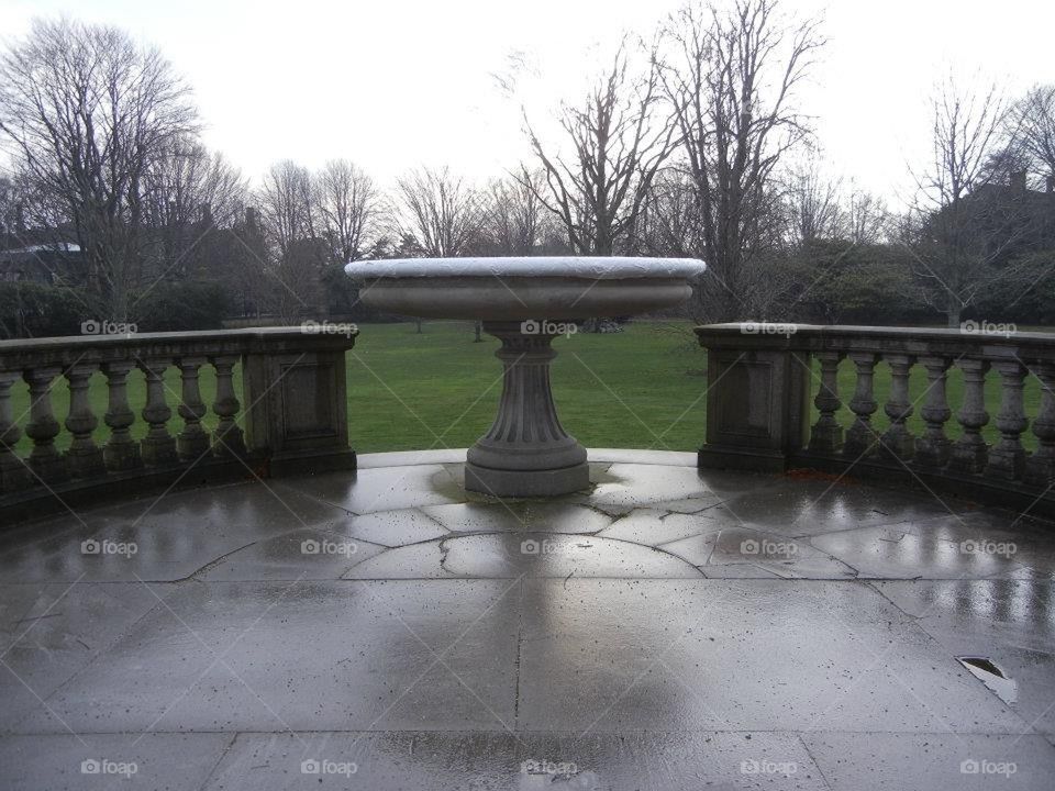 backyard and fountain