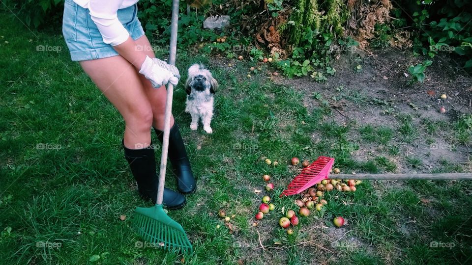 The Gardener and her puppy