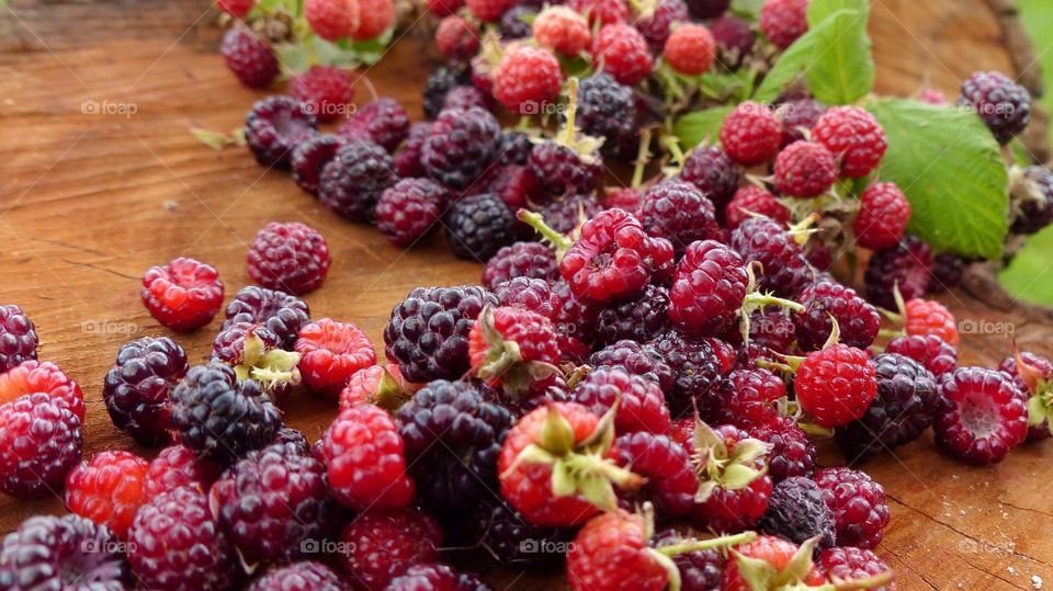 Blackberries close-up