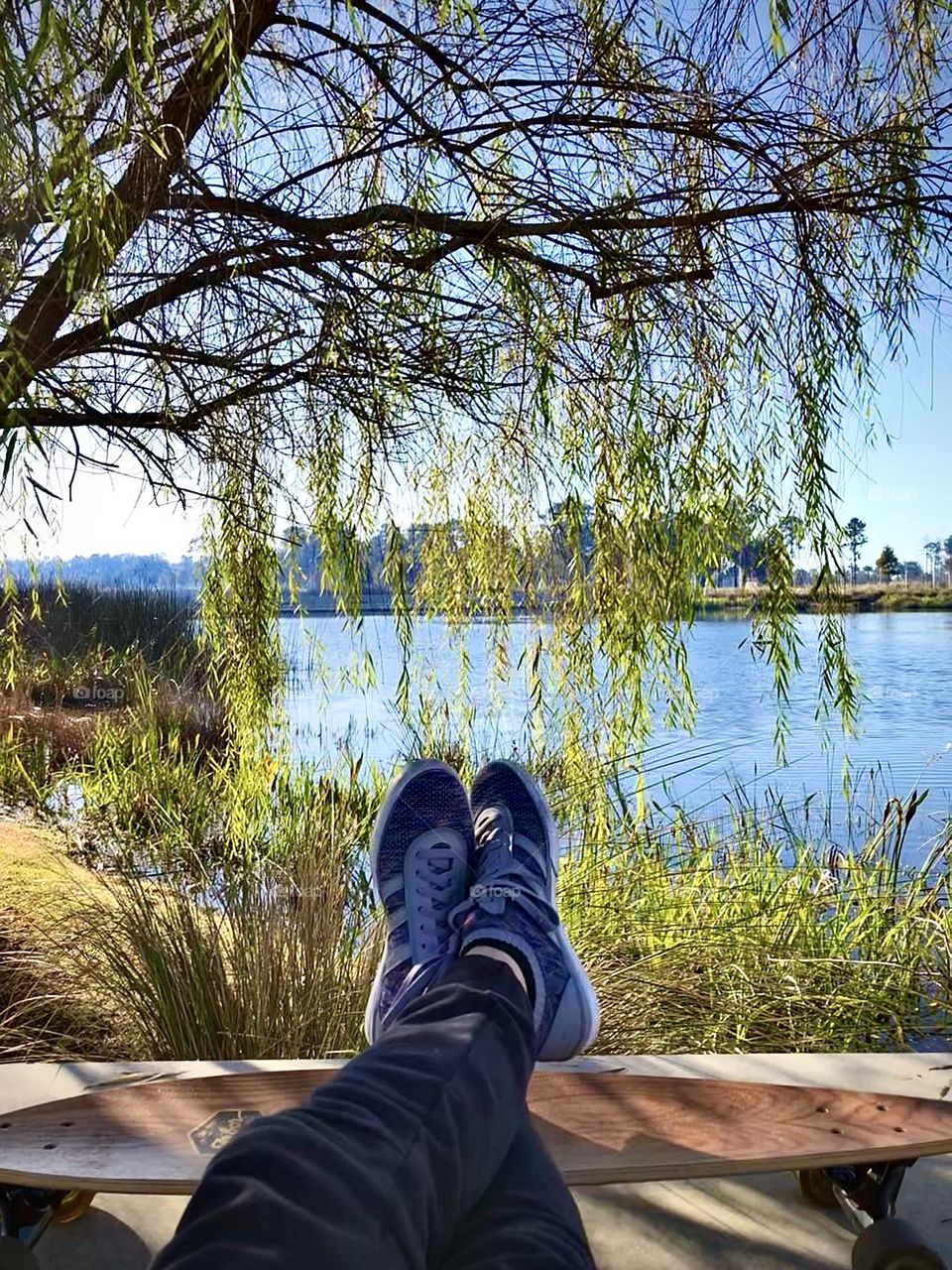 Lounging under weeping willow tree by a lake