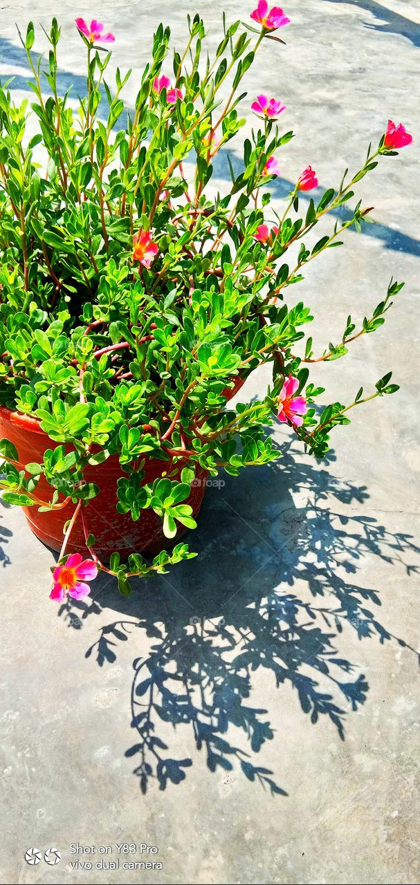 #foap #infoapartemen #foapjuly18 #foapaug18 #foapfeb18 #foapapril17 #foapers #foapjune18 #fotografoaprendiz #sfoapprentices #foaper #infoapartment #foapmission #foapmay18 #foapapr18 #foapit #infoaplikasipaytren #infoapple #foapom #foapjan19 #infoapp