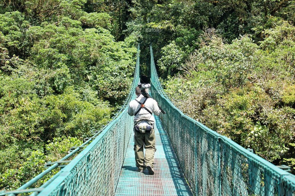 Walking along the tree tops 