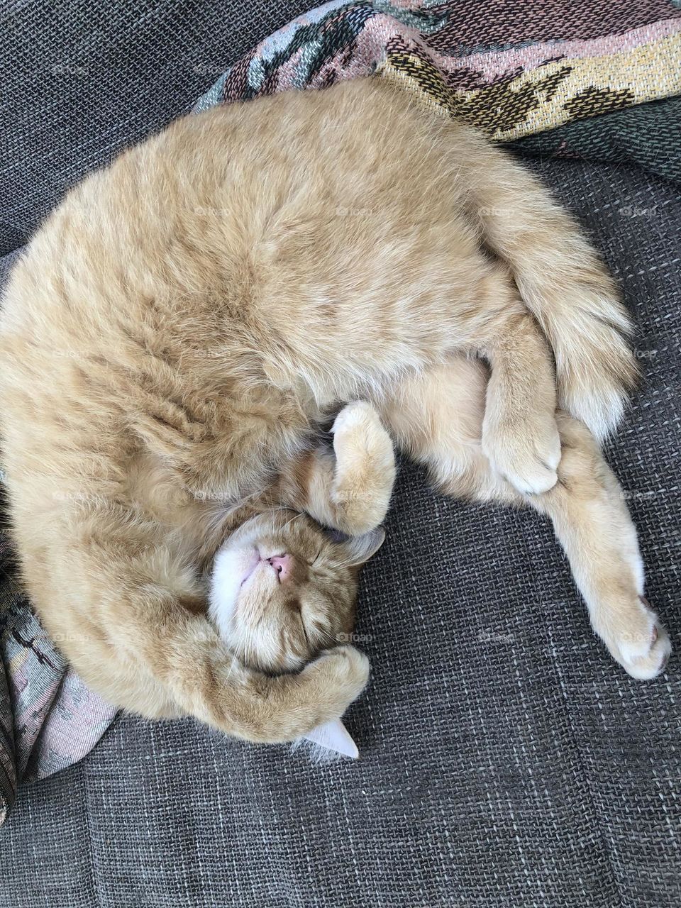 Please don’t talk about work today 