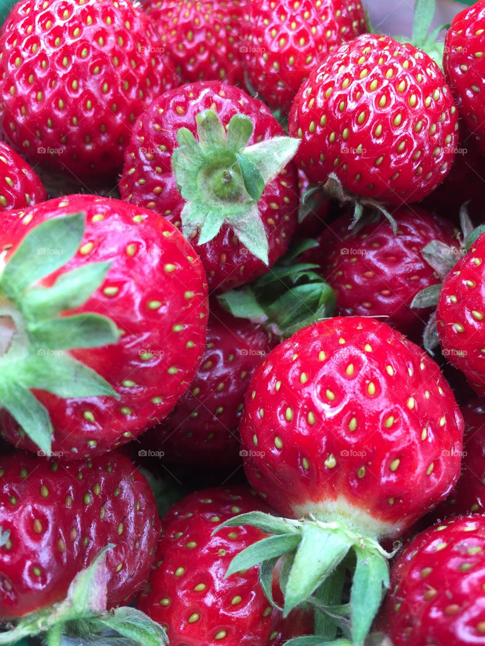 Strawberries . Strawberries 