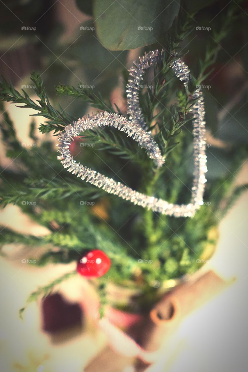 The most wonderful time of the year