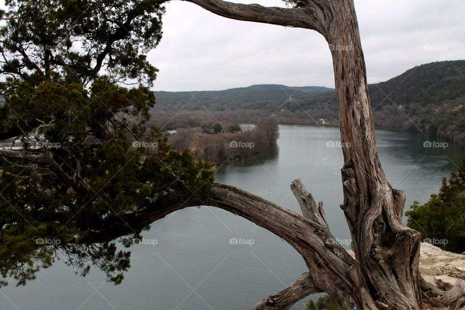 landscape tree water lake by avphoto