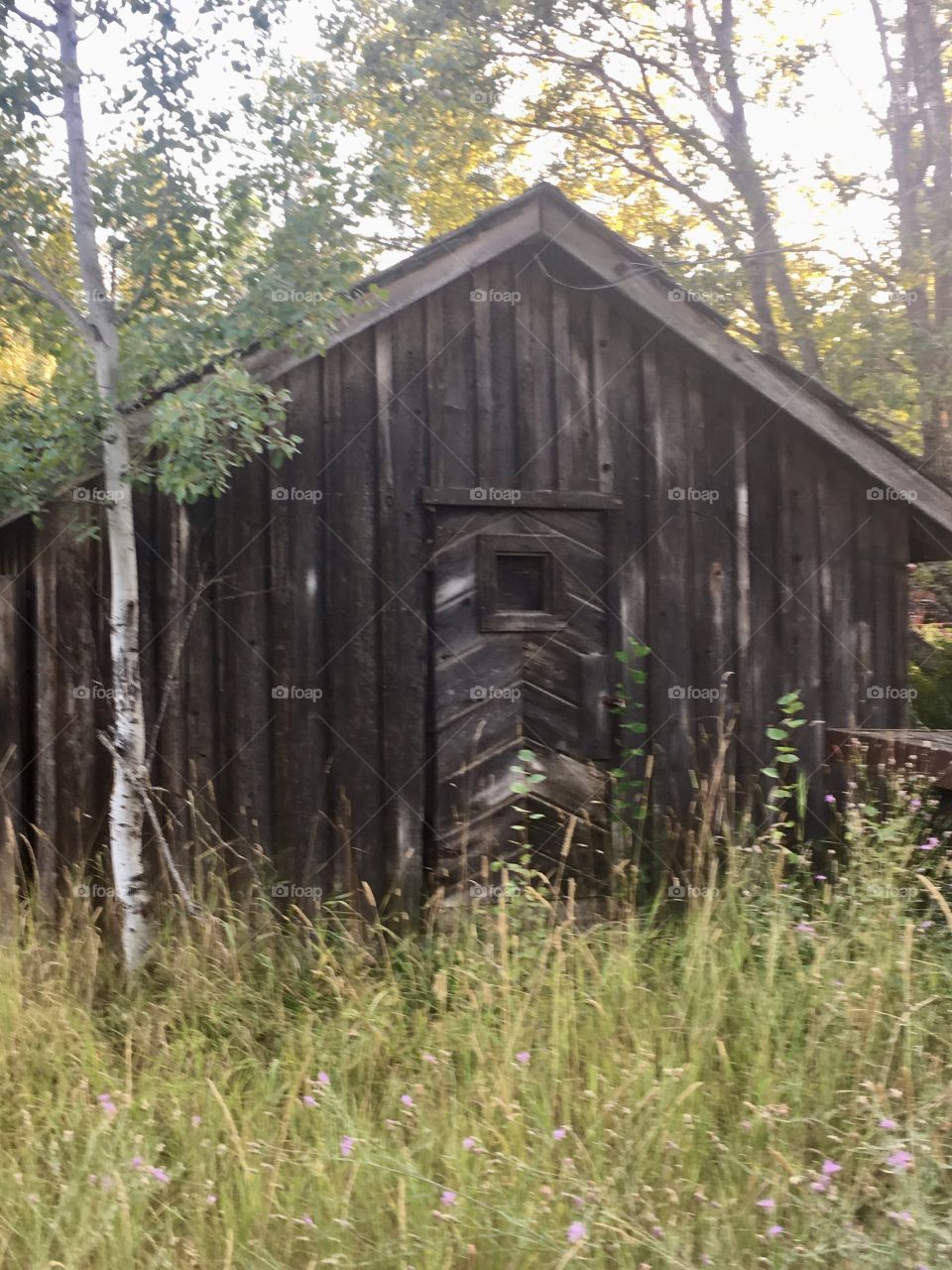 Old Wooden Outbuilding 