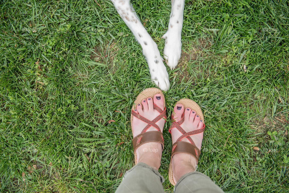 Overhead view of a woman's feet wearing sandals opposite dog's paws outdoors