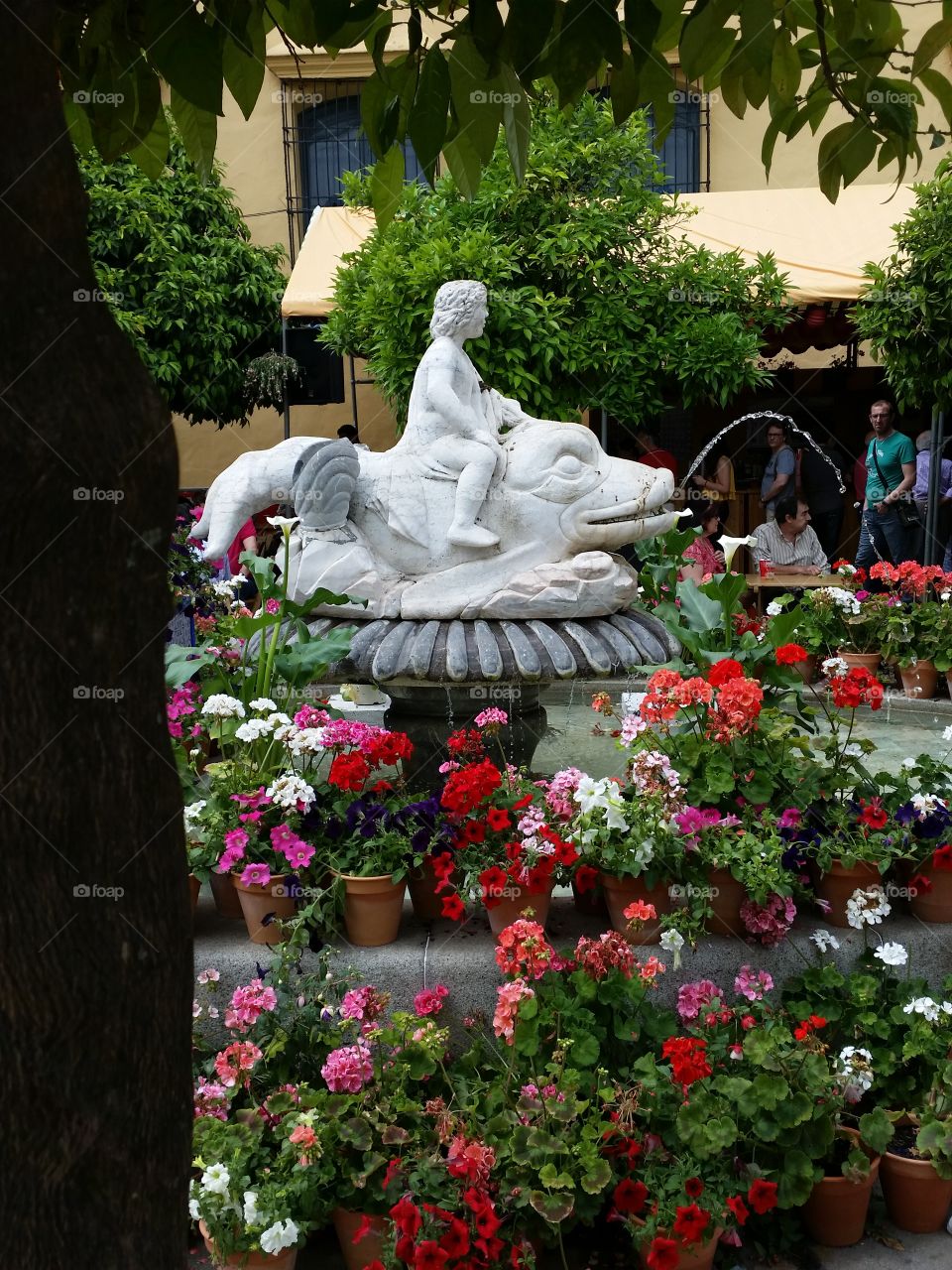 Córdoba in May. Córdoba a city full of light and flowers