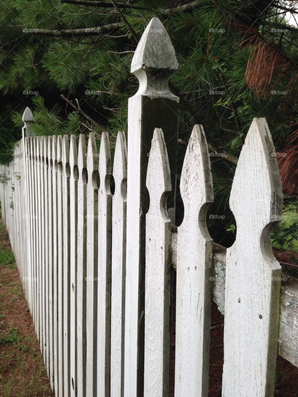 Old white picket fence