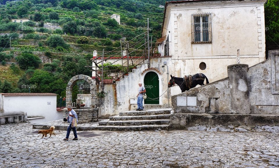 Amalfi coast 