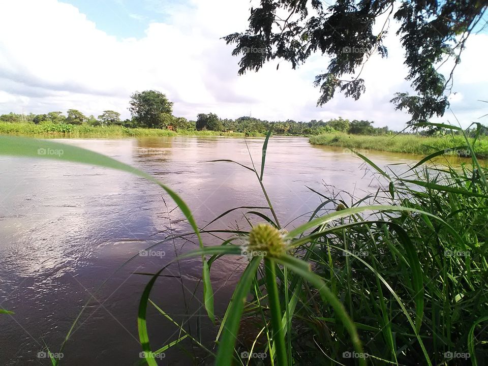 by the side of  the paddy fields and the river