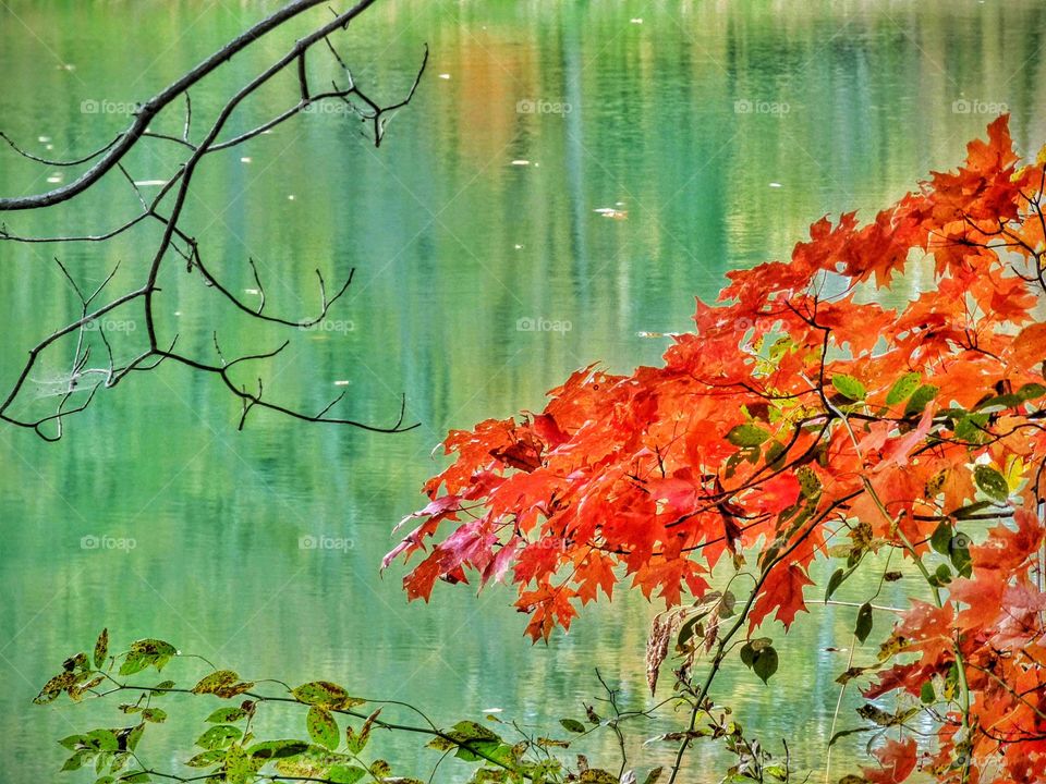 Fall in the beautiful park