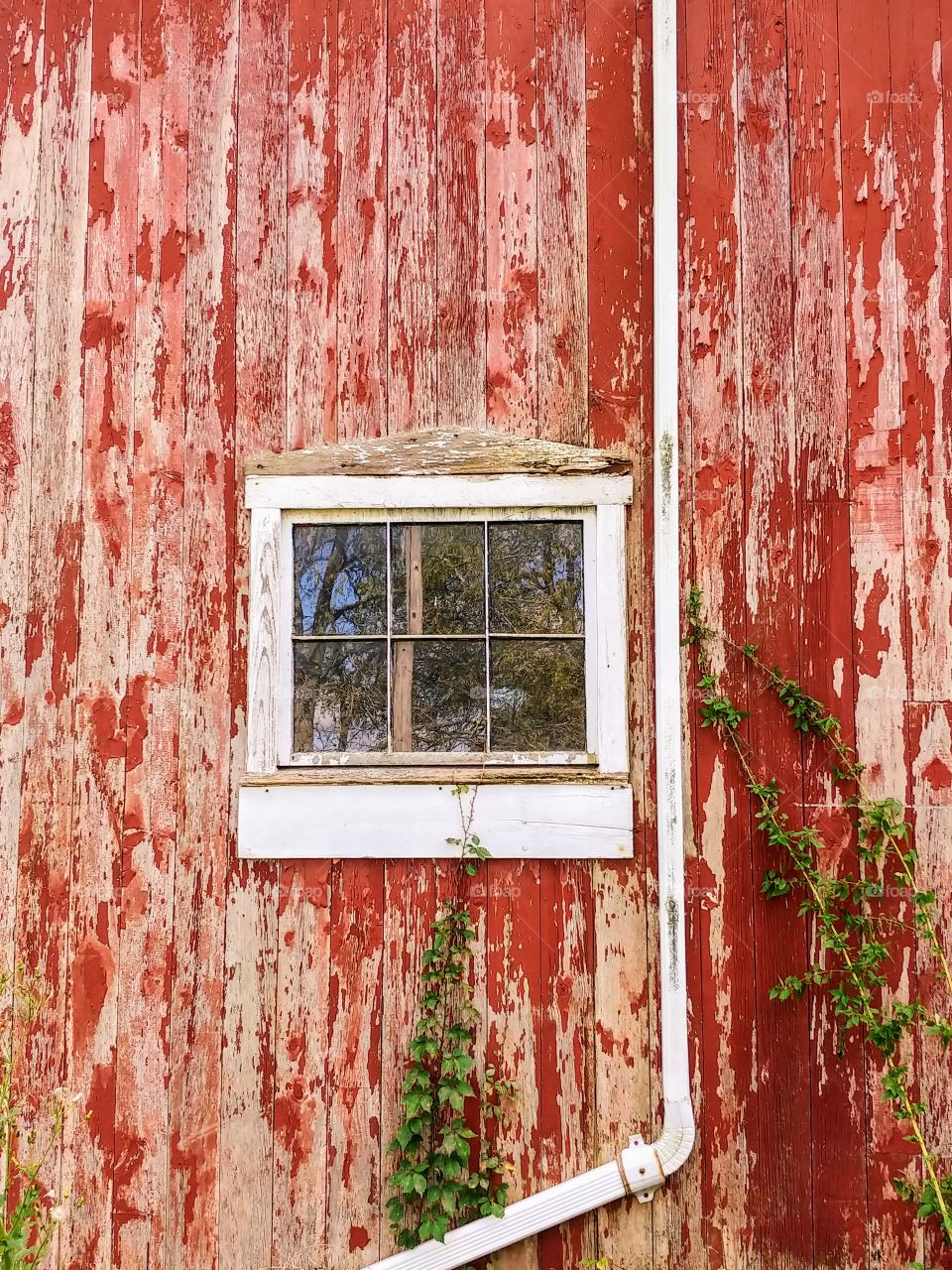 Barn window reflection