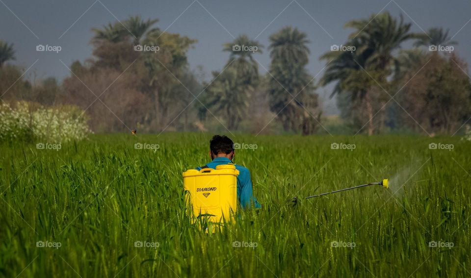 Man work in landscape crops