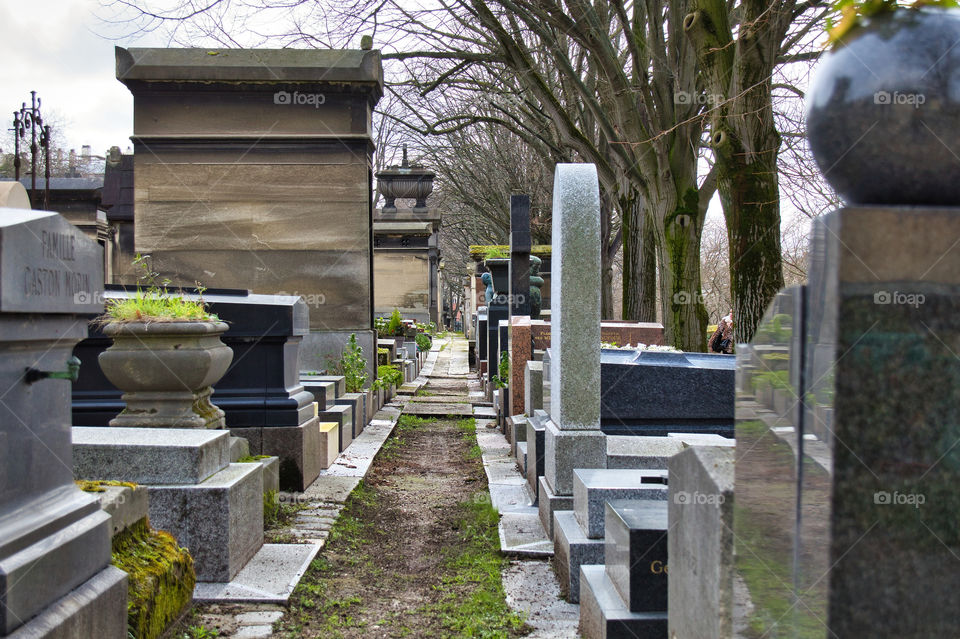 graveyard in the cemetery in paris