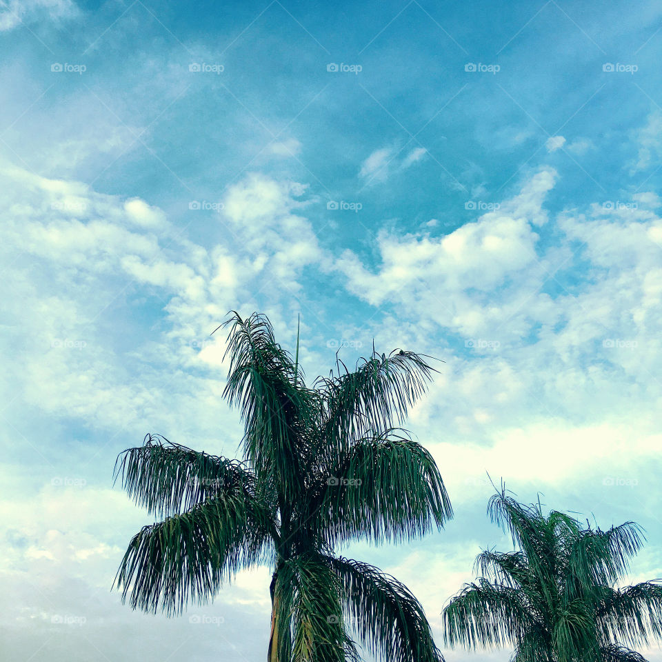 Agora 06h20, e ao contrário da previsão do tempo (de que teríamos chuva), um céu muito bonito surge no infinito.
Há de ser uma boa 3a feira!