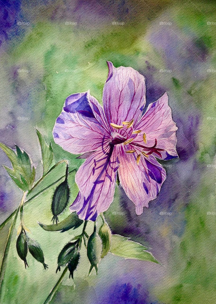 Watercolor Violet flower by me 